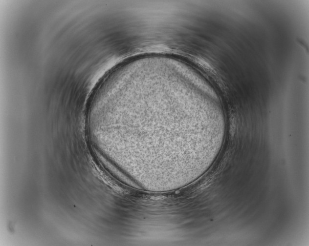 X0000100401326200806201727