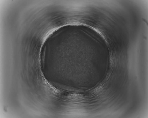X0000100401327200806201727