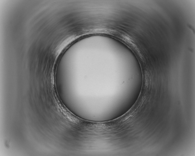 X0000100401328200806201727