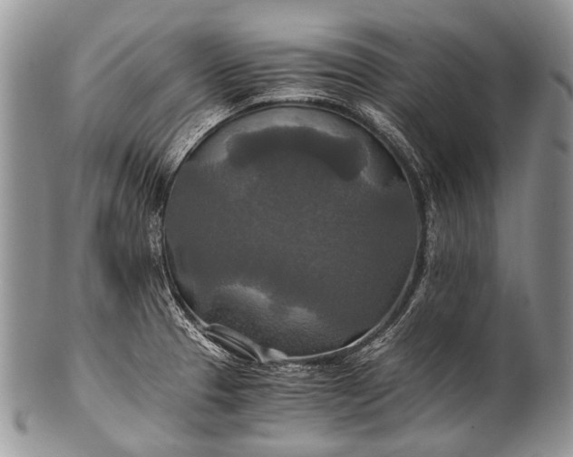X0000100401329200806201727