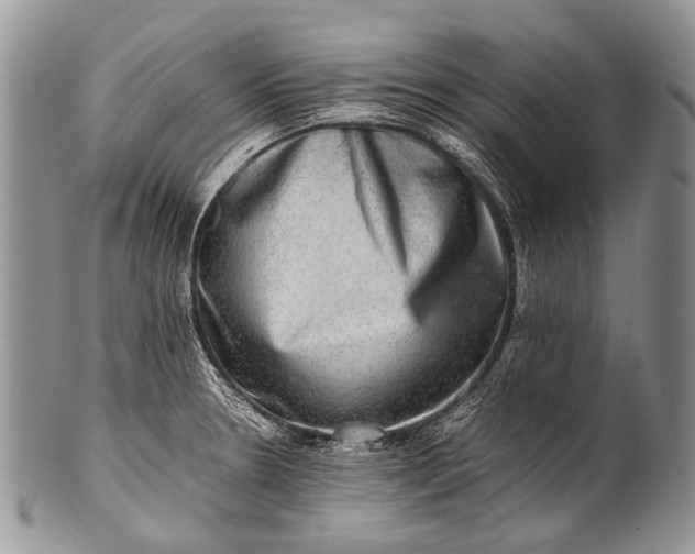 X0000100401330200806201727