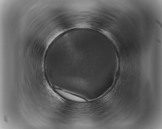 X0000100401331200806201727