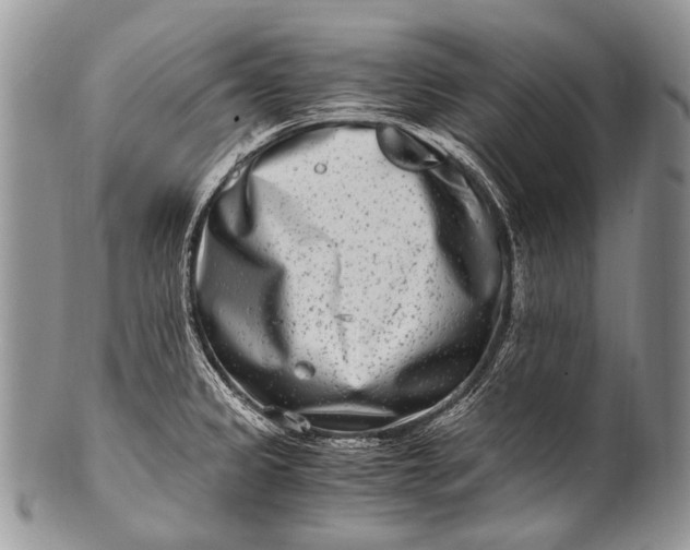 X0000100401333200806201728