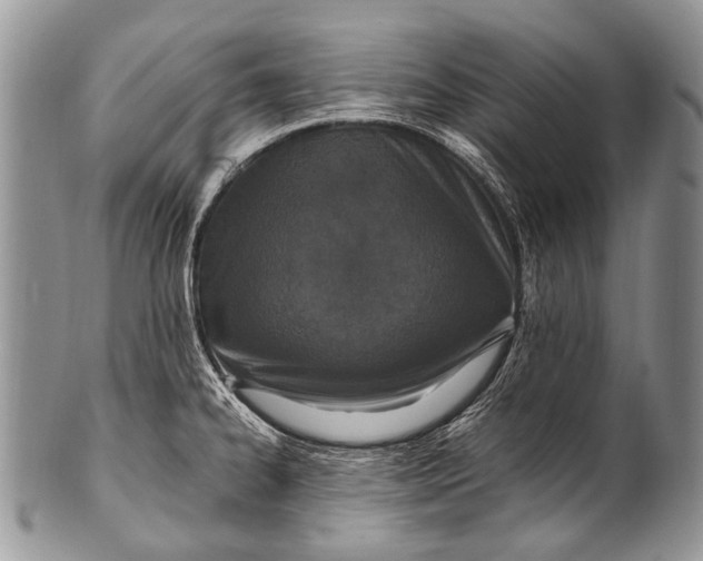 X0000100401334200806201728