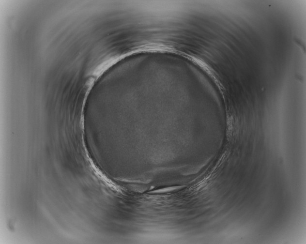X0000100401335200806201728