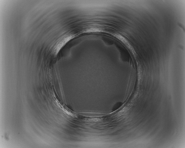 X0000100401337200806201728