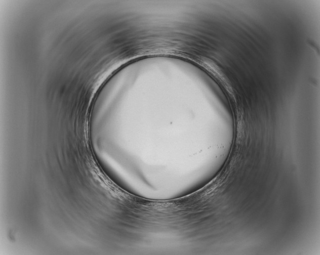 X0000100401340200806201728