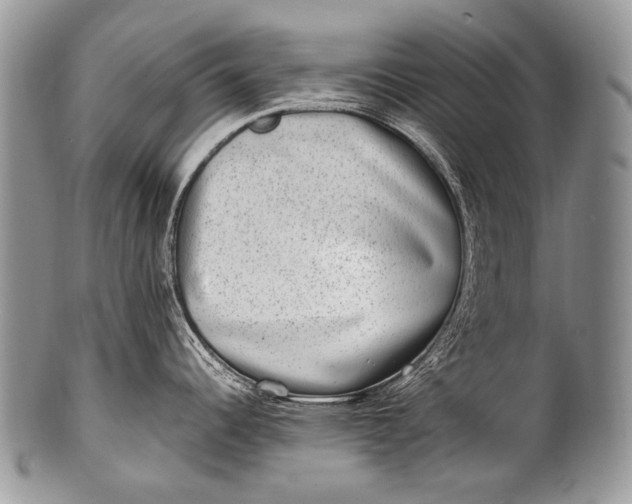 X0000100401344200806201728