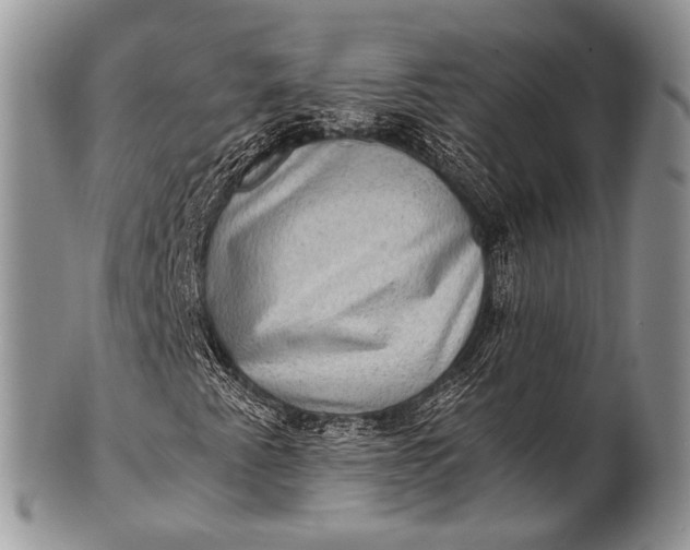 X0000100401345200806201727