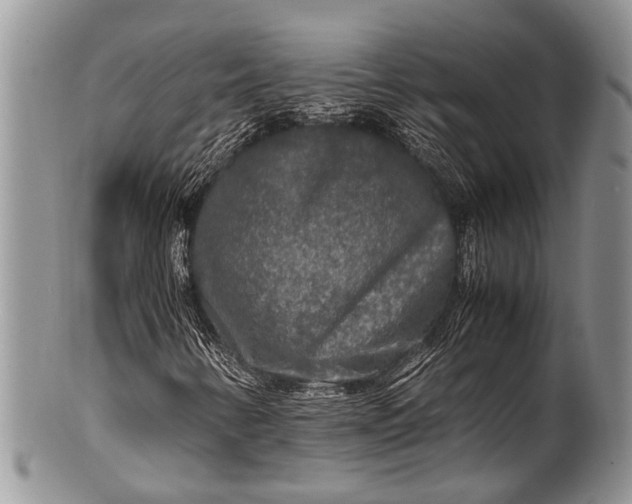 X0000100401346200806201727