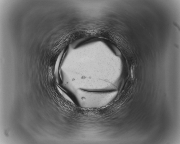 X0000100401347200806201727