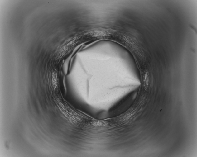 X0000100401348200806201727