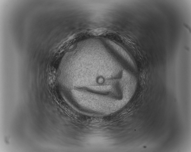 X0000100401349200806201727