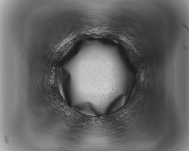X0000100401350200806201727