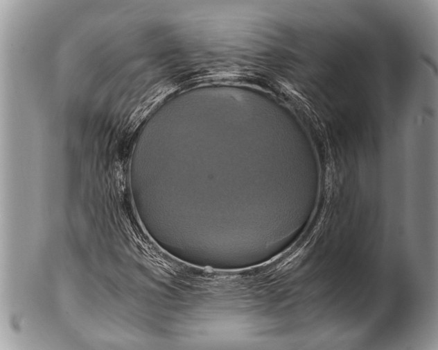 X0000100401353200806201727