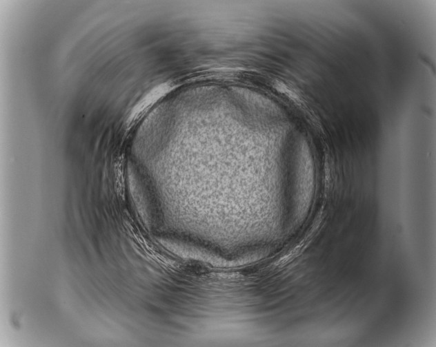 X0000100401354200806201727