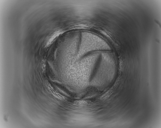 X0000100401355200806201727