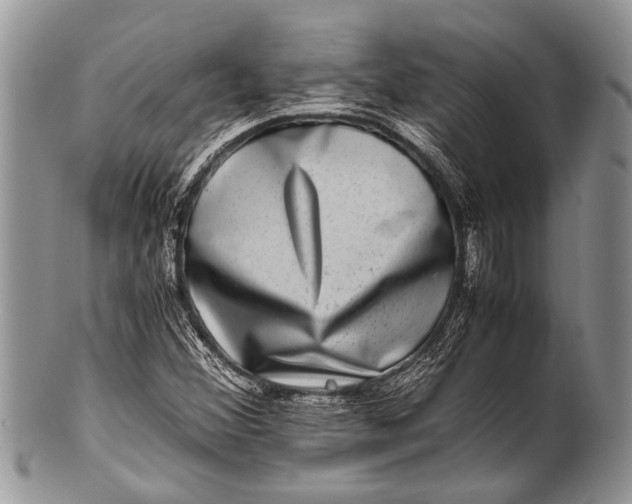 X0000100401356200806201727