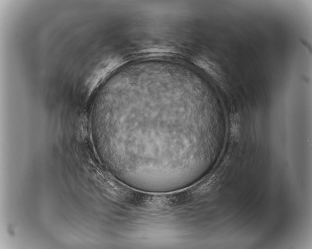 X0000100401357200806201727