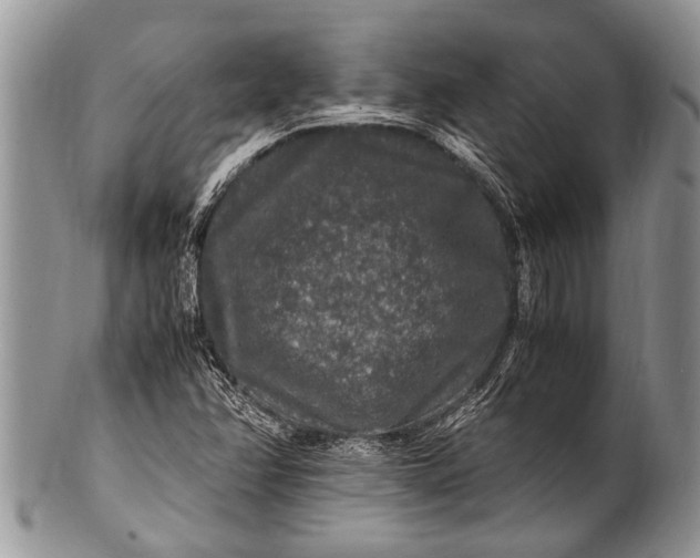X0000100401358200806201727