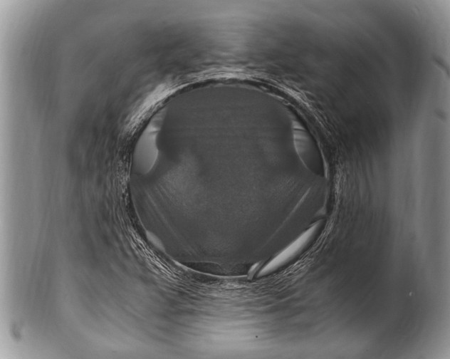 X0000100401359200806201727