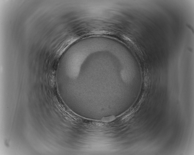 X0000100401361200806201727