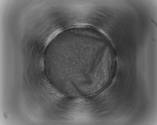 X0000100401362200806201727