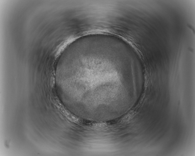 X0000100401363200806201727