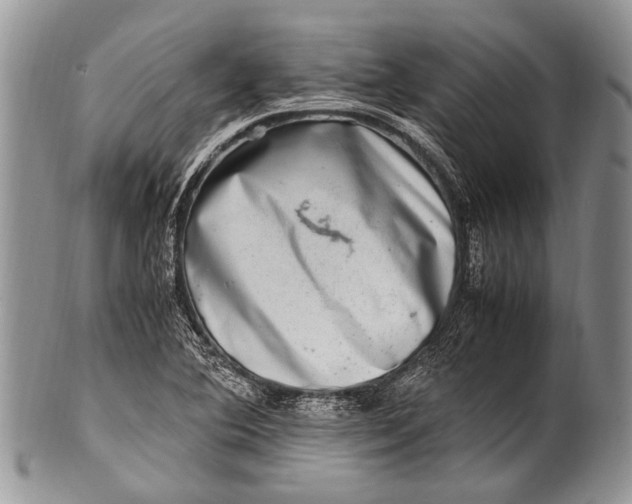 X0000100401364200806201727