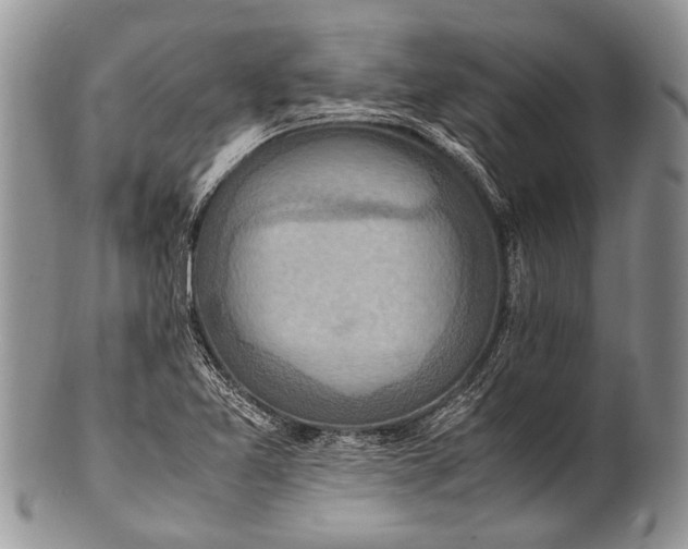 X0000100401365200806201727