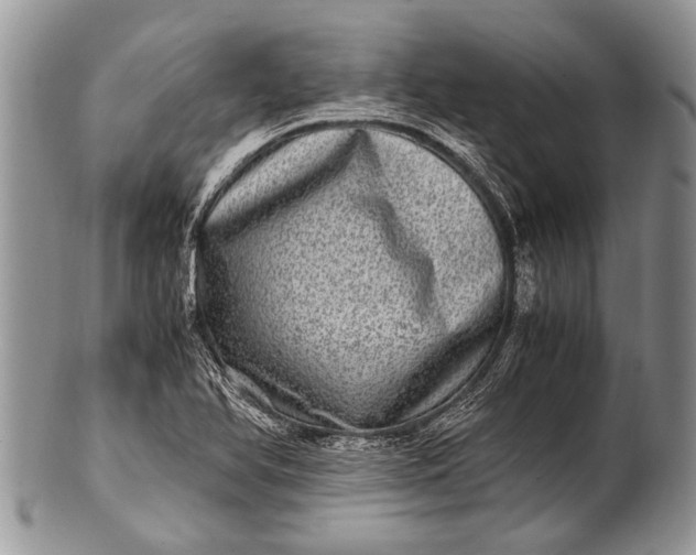 X0000100401366200806201727