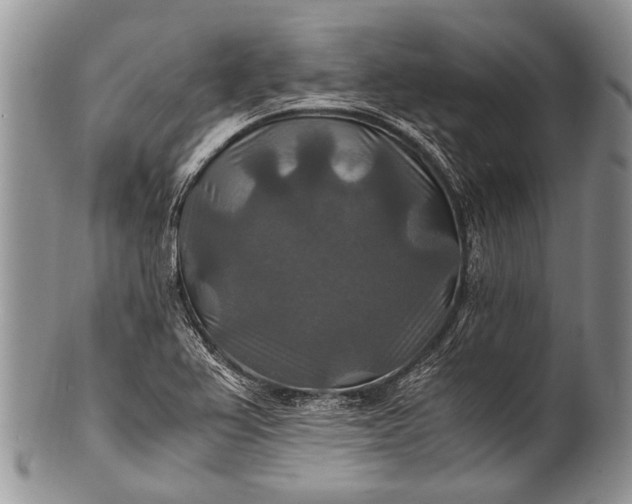 X0000100401367200806201727