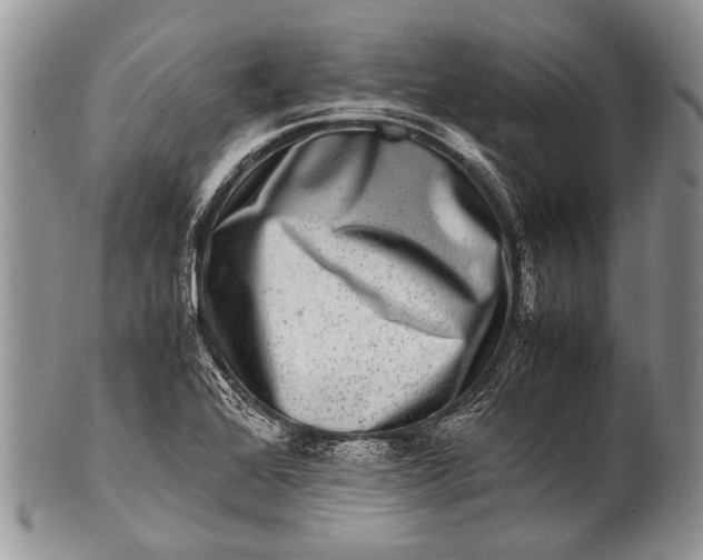 X0000100401368200806201727