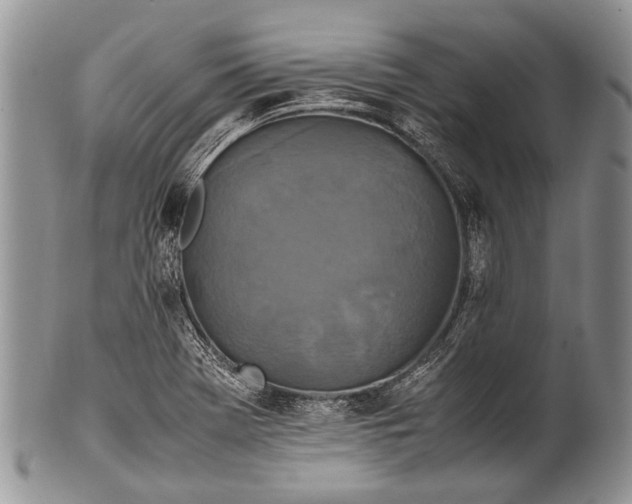 X0000100401369200806201727