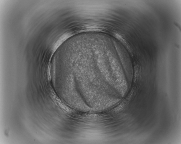 X0000100401370200806201727