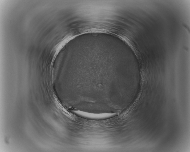 X0000100401371200806201727