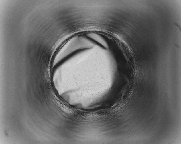X0000100401372200806201727