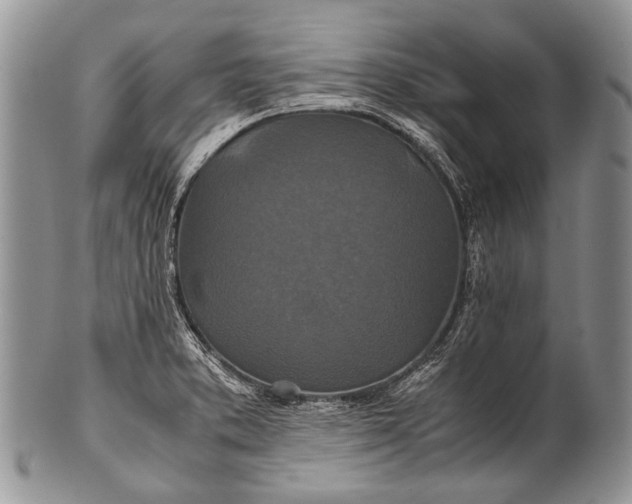 X0000100401373200806201727