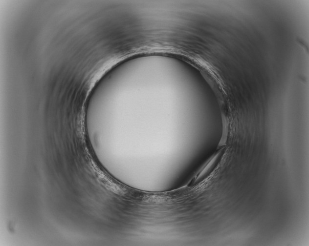 X0000100401374200806201727