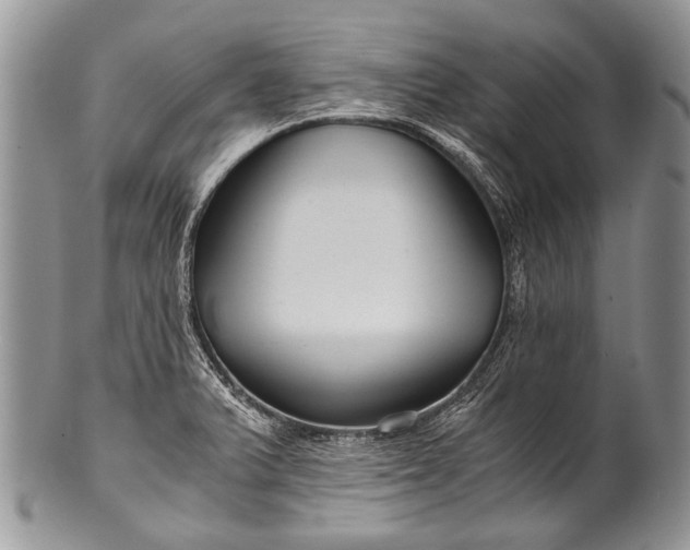 X0000100401375200806201727
