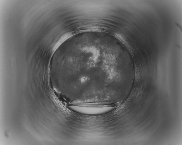 X0000100401378200806201727