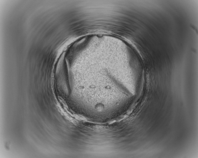 X0000100401379200806201727