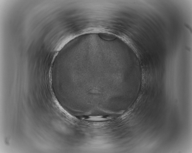 X0000100401382200806201726