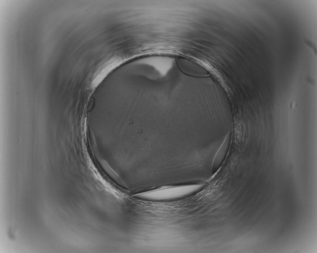X0000100401383200806201726