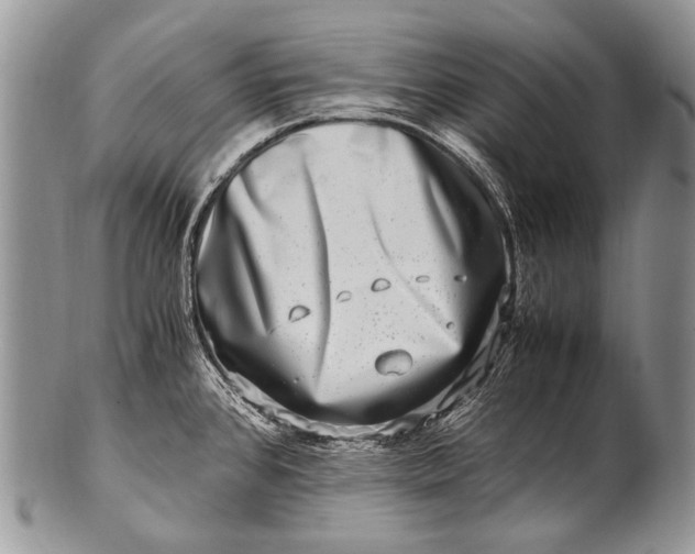 X0000100401384200806201726