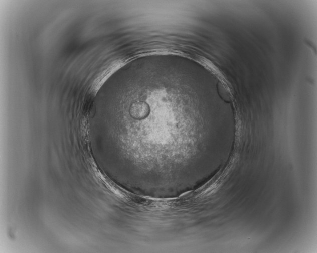 X0000100401385200806201726