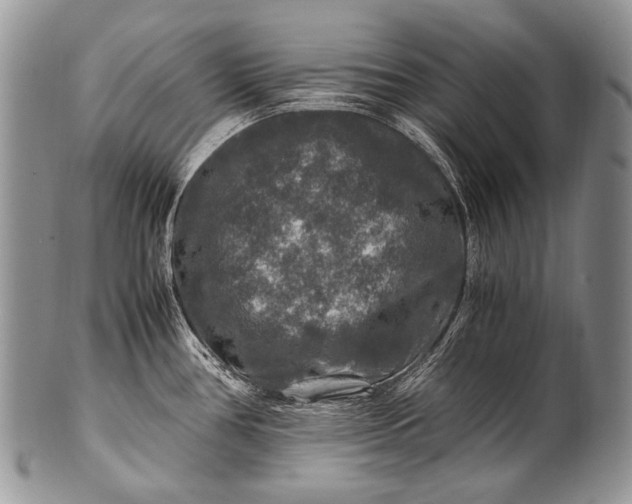 X0000100401386200806201726