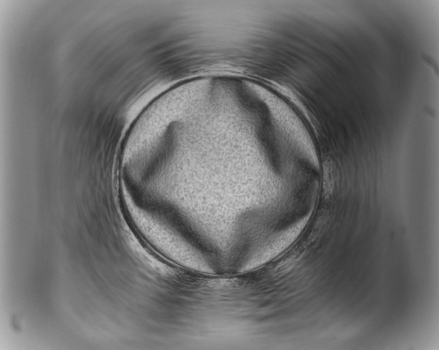 X0000100401387200806201726