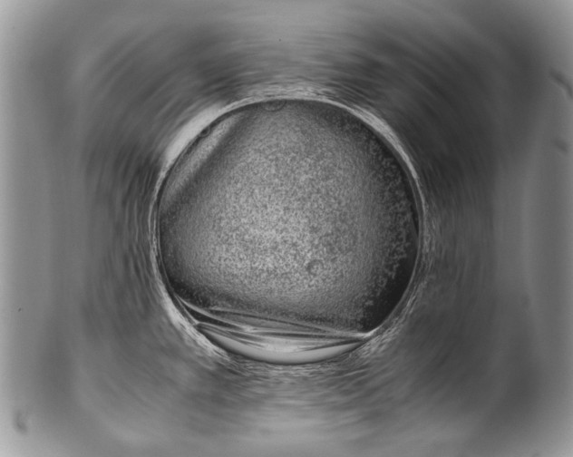 X0000100401389200806201726