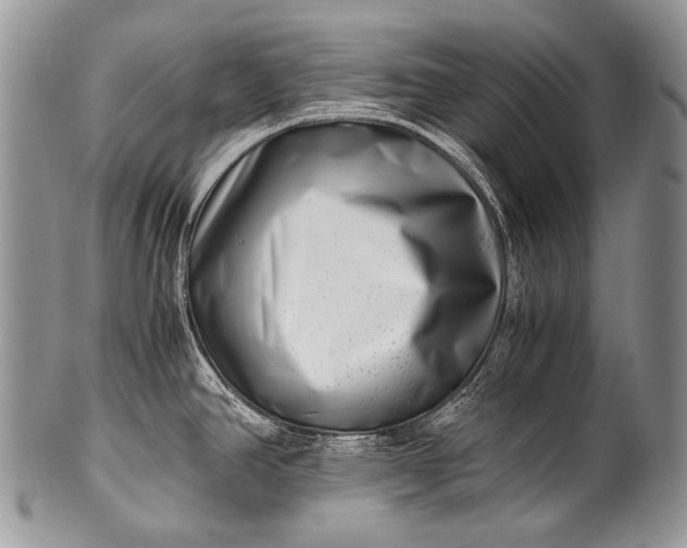 X0000100401390200806201726